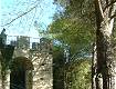 Una fila di pini pare indicare ancora il sentiero che avrebbe potuto portare all'ingresso del castello, sul suo lato meridionale