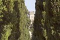 Il viale cipressato che porta al castello di Poppiano