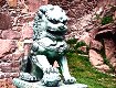 Un leone orientale posto all'interno del castello