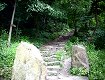 Un sentiero scalinato che porta al castello di Firmiano