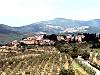 Panoramica di Artimino sul Montalbano (copyright www.toskana.net)