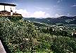 Dal parapetto panoramico del borgo, si scorge in direzione nord-est il Monteferrato, dove già si estraeva il marmo verde di Prato, presente in molte facciate non solo toscane
