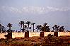 Marrakech