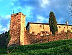 Dal sito www.buonsai.com Dal sito www.buonsai.com