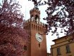 Dal sito www.comune.budrio.bo.it Dal sito www.comune.budrio.bo.it