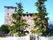 Dal sito www.anspicastelnovo.it Dal sito www.anspicastelnovo.it