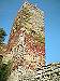 L’ornamento vegetale della torre del cassero, che dà sul terrazzo dell’abitazione signorile interna alla rocca