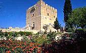 Limassol castle