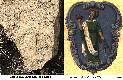 L’immagine di San Tommaso, estrapolata dallo stemma di Giovinazzo, sembra avere molte attinenze formali alla figura incisa sul menhir di Pozzo Pilecchia