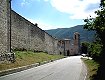Dal sito www.naturamediterraneo.com Dal sito www.naturamediterraneo.com