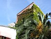 Dal sito http://93.62.248.214:47000/Public/Polo museale Sestri Levante/