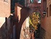 Foto di pieris, dal sito http://rete.comuni-italiani.it Foto di pieris, dal sito http://rete.comuni-italiani.it
